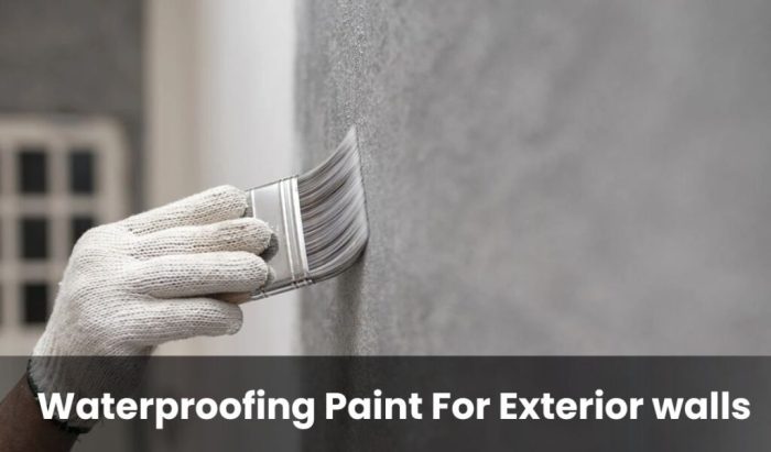 Using Wall Waterproofing Paint | Importance And Steps Guide Using Wall Waterproofing Paint | Importance And Steps Guide
