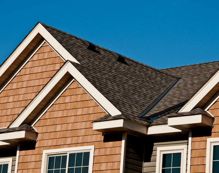 Roofing Repair and Installation Services near Ann Arbor 🏠